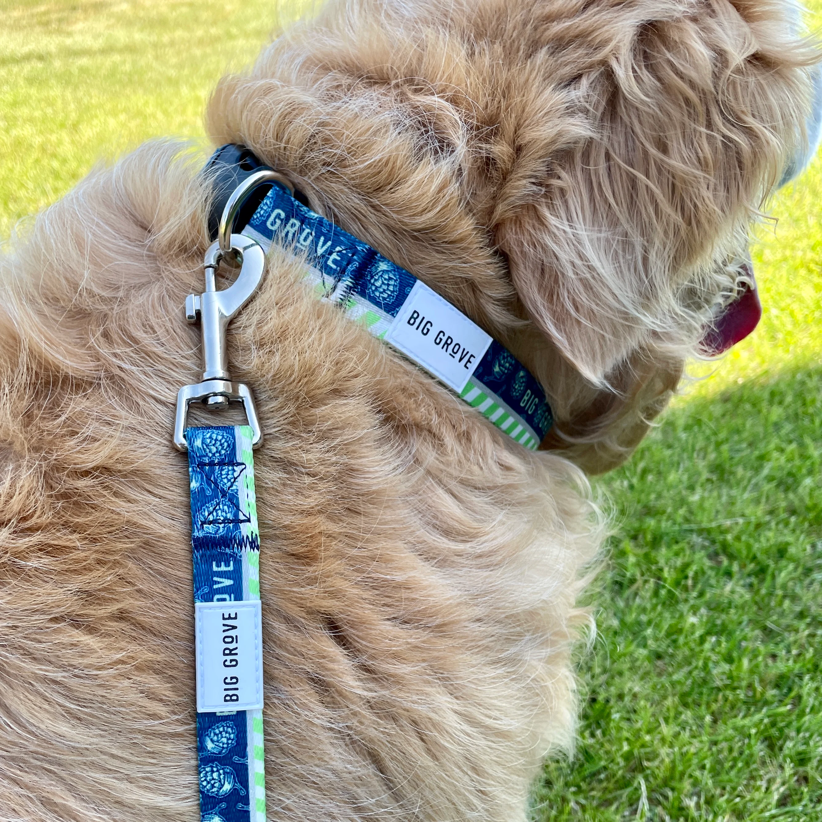 BGB 6' Dog Leash - Image 3
