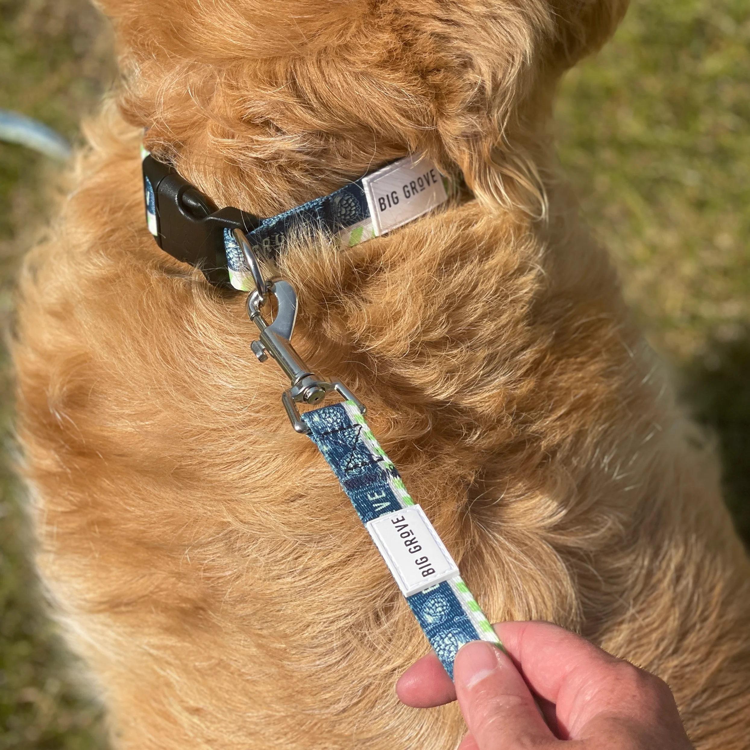 BGB 6' Dog Leash - Image 4